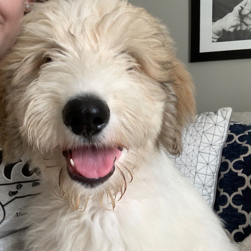 Meet your Posher, Kaylea